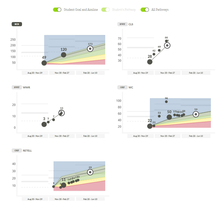 Pathways to Progress Report Sample