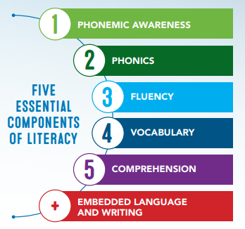 vsl elementary intervention