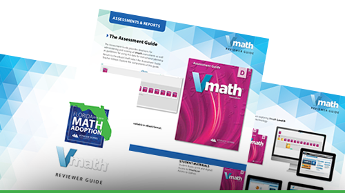 vmath-reviewer-guide