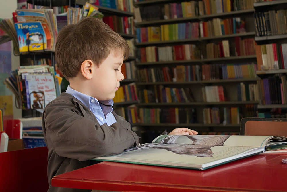 Boy Reading in Library